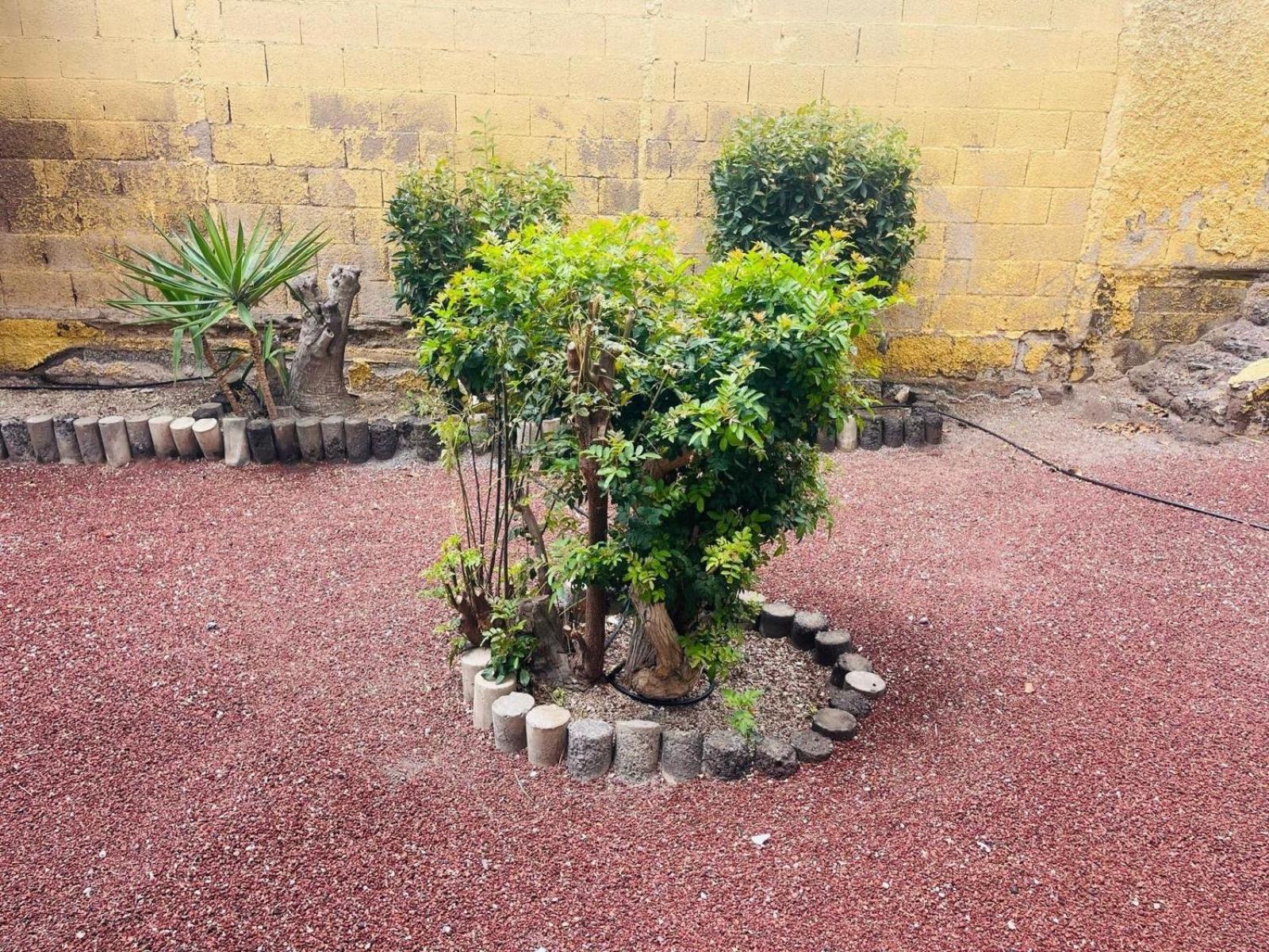Cozy 2-Bed & Sofa-Bed Studio In Los Cristianos Esterno foto